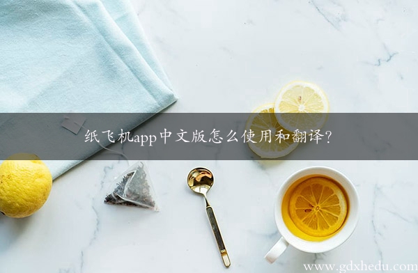 纸飞机app中文版怎么使用和翻译？