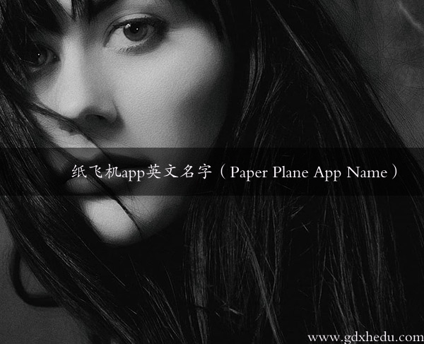 纸飞机app英文名字（Paper Plane App Name）