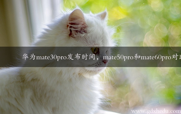 华为mate30pro发布时间，mate50pro和mate60pro对比