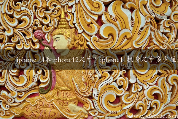 iphone 11和iphone12尺寸？iphone11机身尺寸多少厘米
