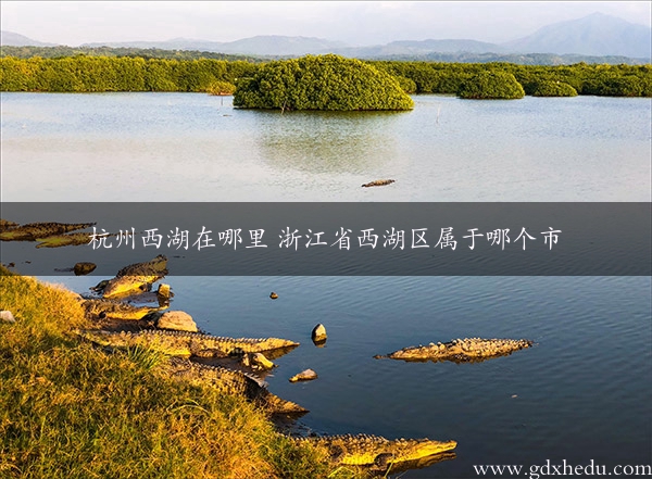 杭州西湖在哪里 浙江省西湖区属于哪个市