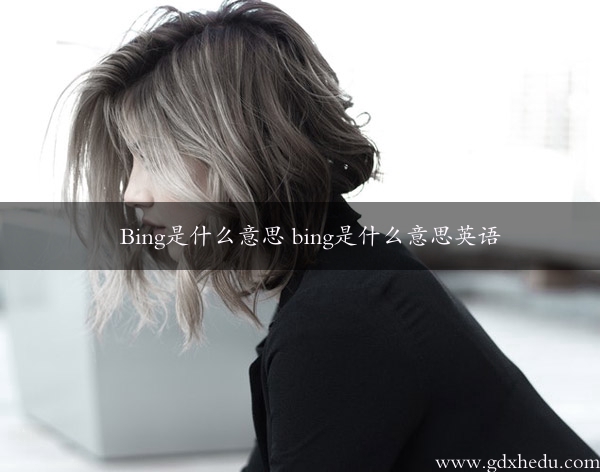 Bing是什么意思 bing是什么意思英语