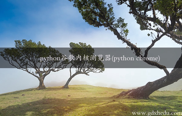 python谷歌内核浏览器(python chrome)