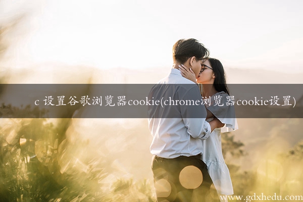 c 设置谷歌浏览器cookie(chrome浏览器cookie设置)