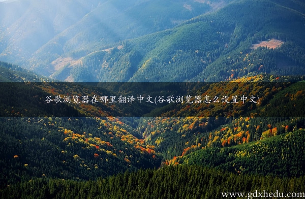 谷歌浏览器在哪里翻译中文(谷歌浏览器怎么设置中文)