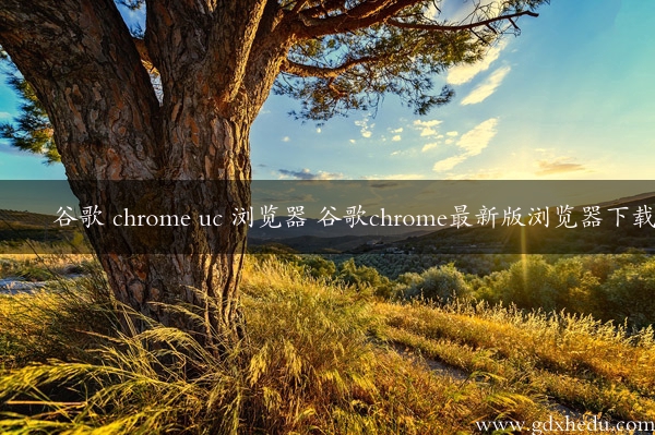 谷歌 chrome uc 浏览器 谷歌chrome最新版浏览器下载