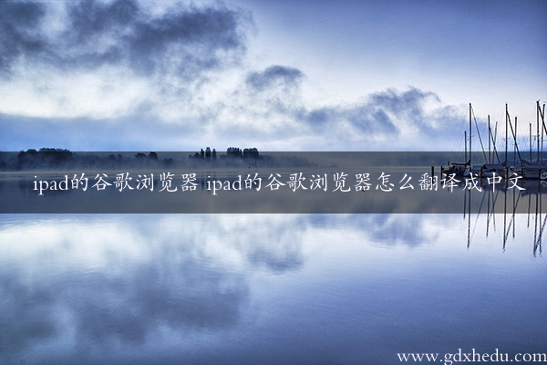 ipad的谷歌浏览器 ipad的谷歌浏览器怎么翻译成中文