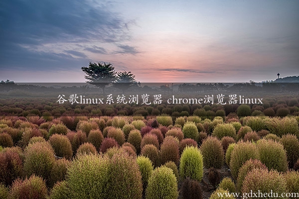 谷歌linux系统浏览器 chrome浏览器linux