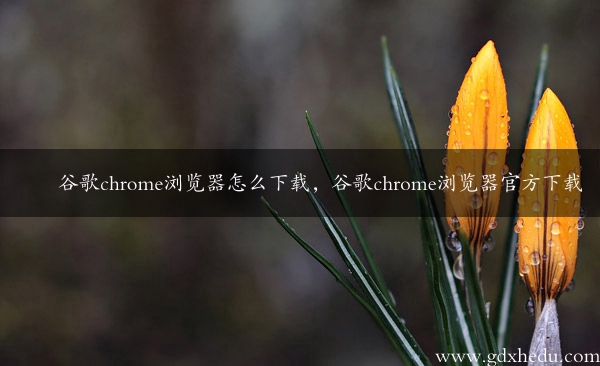 谷歌chrome浏览器怎么下载，谷歌chrome浏览器官方下载