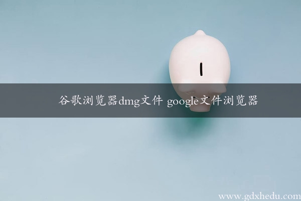 谷歌浏览器dmg文件 google文件浏览器
