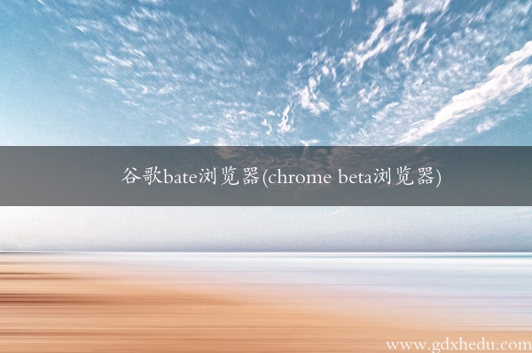 谷歌bate浏览器(chrome beta浏览器)
