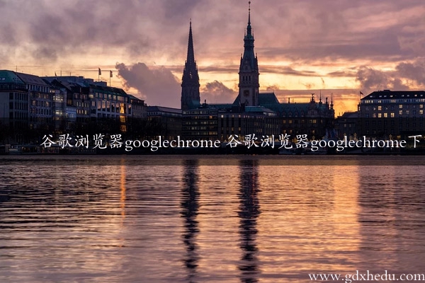 谷歌浏览器googlechrome 谷歌浏览器googlechrome下载