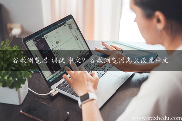 谷歌浏览器 调试 中文？谷歌浏览器怎么设置中文