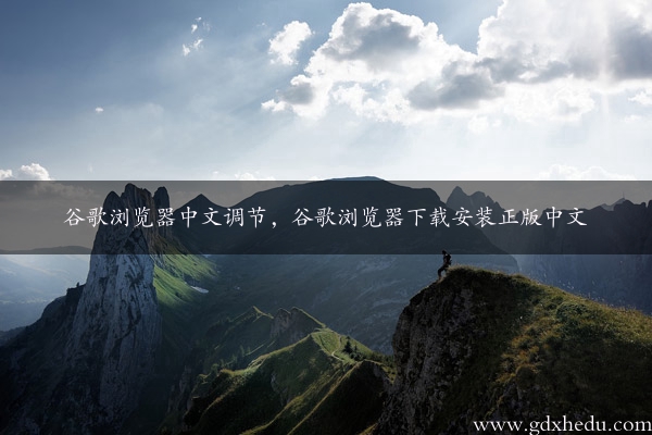 谷歌浏览器中文调节，谷歌浏览器下载安装正版中文