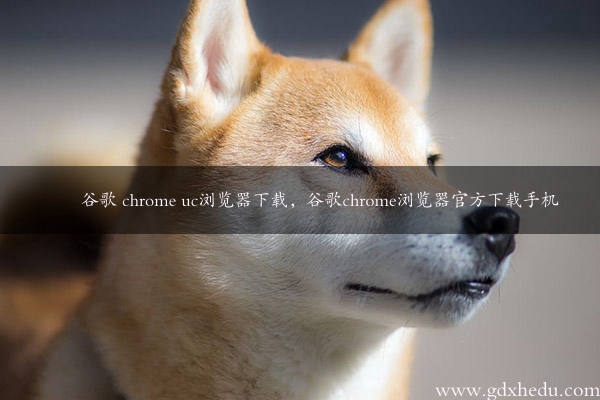 谷歌 chrome uc浏览器下载，谷歌chrome浏览器官方下载手机