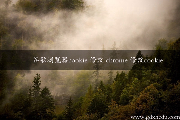 谷歌浏览器cookie 修改 chrome 修改cookie