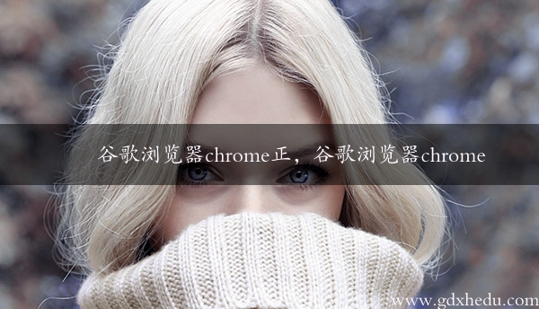 谷歌浏览器chrome正，谷歌浏览器chrome