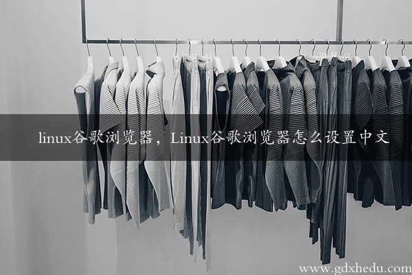 linux谷歌浏览器，Linux谷歌浏览器怎么设置中文