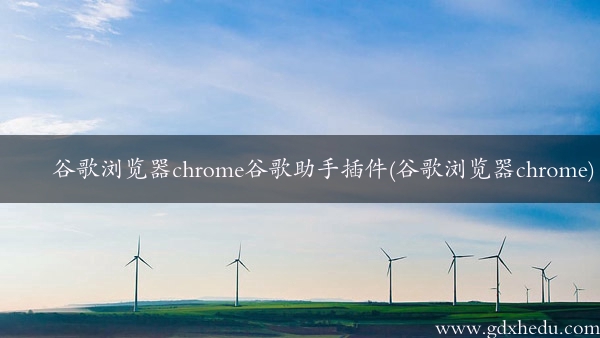 谷歌浏览器chrome谷歌助手插件(谷歌浏览器chrome)