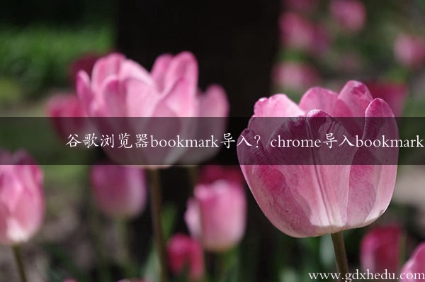 谷歌浏览器bookmark导入？chrome导入bookmark