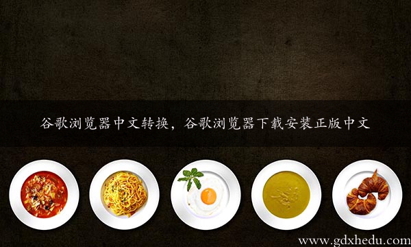 谷歌浏览器中文转换，谷歌浏览器下载安装正版中文