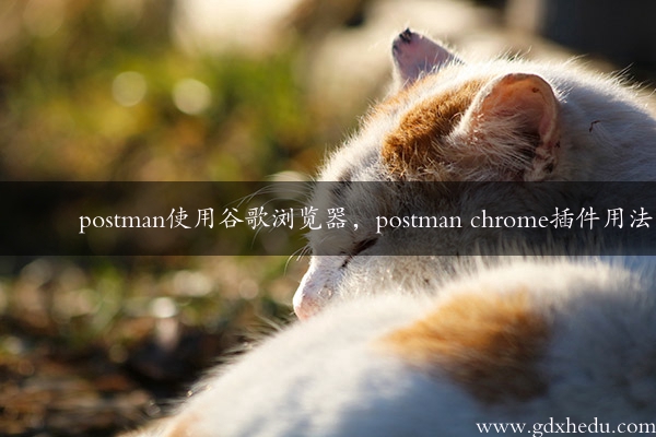 postman使用谷歌浏览器，postman chrome插件用法