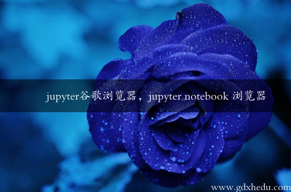jupyter谷歌浏览器，jupyter notebook 浏览器