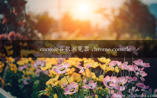console谷歌浏览器 chrome console