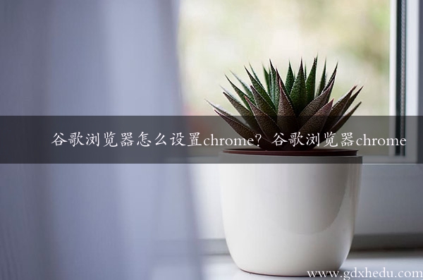 谷歌浏览器怎么设置chrome？谷歌浏览器chrome