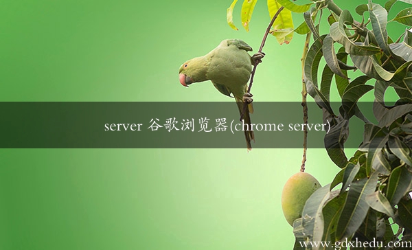 server 谷歌浏览器(chrome server)