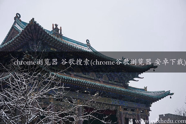 chrome浏览器 谷歌搜索(chrome谷歌浏览器 安卓下载)