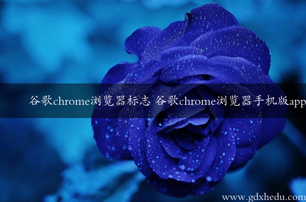谷歌chrome浏览器标志 谷歌chrome浏览器手机版app