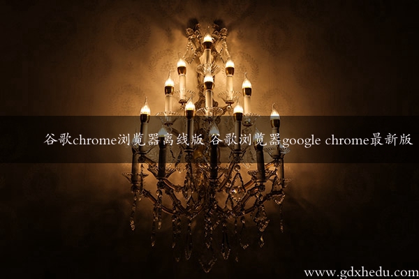 谷歌chrome浏览器离线版 谷歌浏览器google chrome最新版