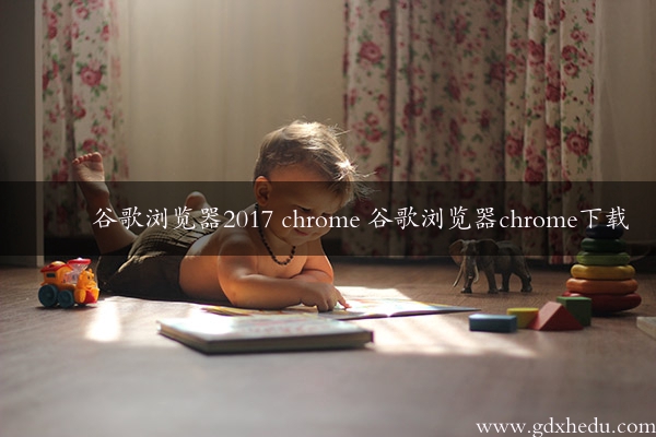 谷歌浏览器2017 chrome 谷歌浏览器chrome下载
