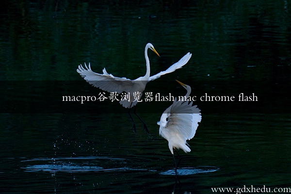macpro谷歌浏览器flash mac chrome flash