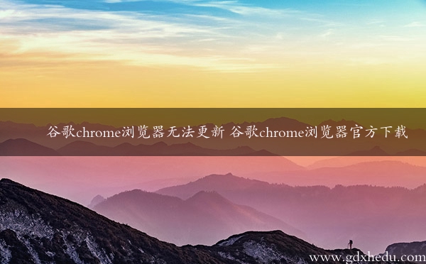 谷歌chrome浏览器无法更新 谷歌chrome浏览器官方下载