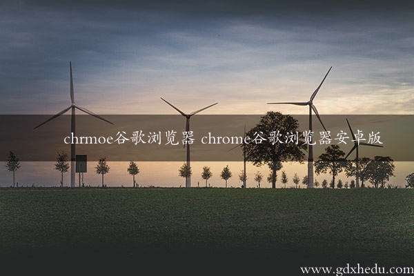 chrmoe谷歌浏览器 chrome谷歌浏览器安卓版