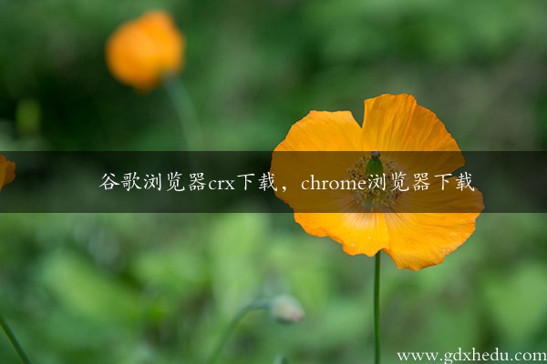 谷歌浏览器crx下载，chrome浏览器下载