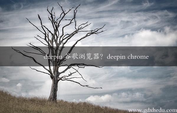 deepin 谷歌浏览器？deepin chrome