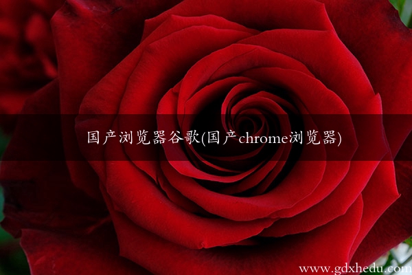 国产浏览器谷歌(国产chrome浏览器)