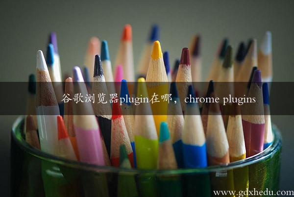 谷歌浏览器plugin在哪，chrome plugins
