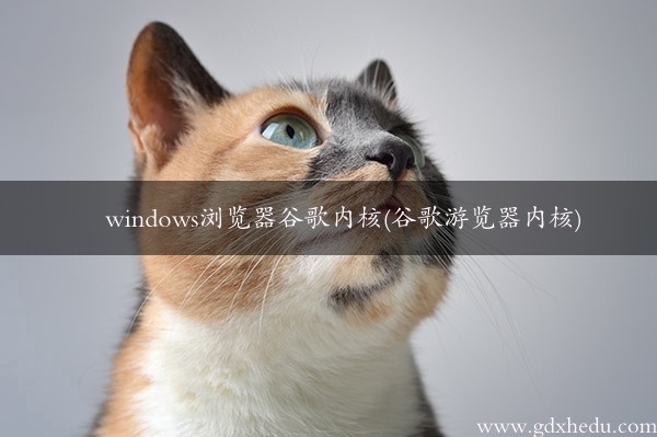 windows浏览器谷歌内核(谷歌游览器内核)