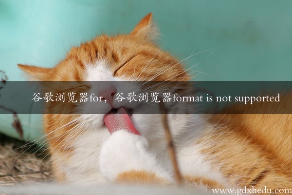 谷歌浏览器for，谷歌浏览器format is not supported
