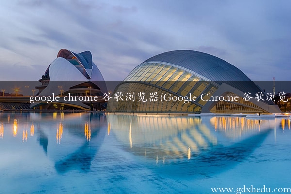 google chrome 谷歌浏览器(Google Chrome 谷歌浏览器)