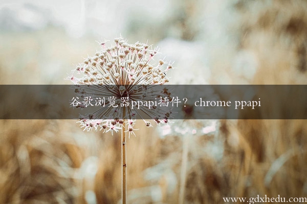 谷歌浏览器ppapi插件？chrome ppapi