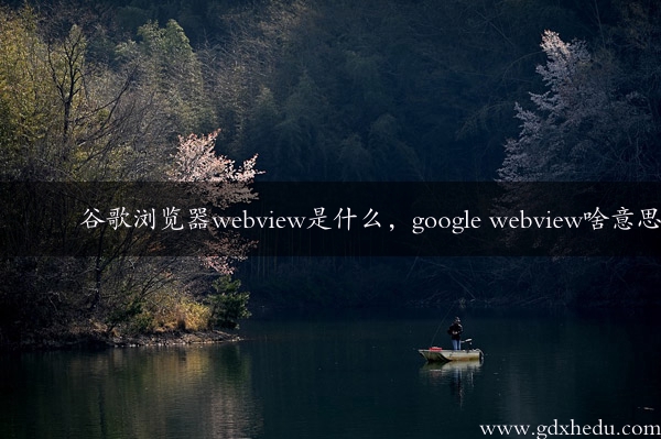 谷歌浏览器webview是什么，google webview啥意思