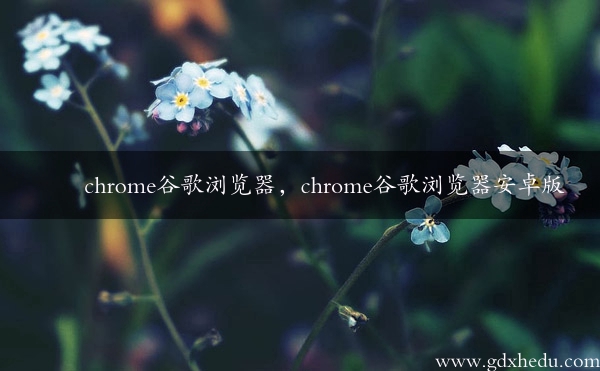 chrome谷歌浏览器，chrome谷歌浏览器安卓版