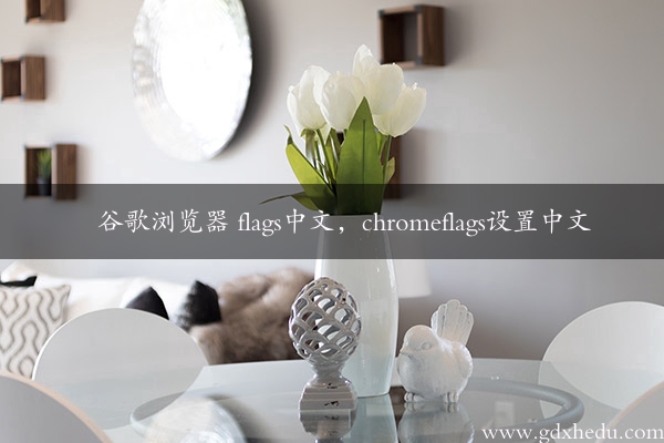 谷歌浏览器 flags中文，chromeflags设置中文
