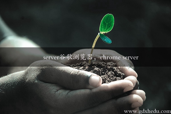 server谷歌浏览器，chrome server