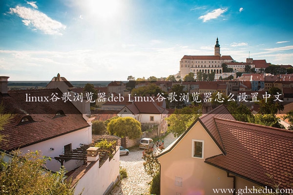 linux谷歌浏览器deb Linux谷歌浏览器怎么设置中文